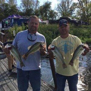 Meet your Posher, Michael